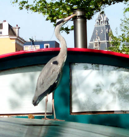 Lijnbaansgracht 344 1017cz, Amsterdam, Noord-Holland Netherlands, ,Houseboat,For Rent,Lijnbaansgracht,1044