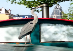 Lijnbaansgracht 344 1017cz, Amsterdam, Noord-Holland Netherlands, ,Houseboat,For Rent,Lijnbaansgracht,1044