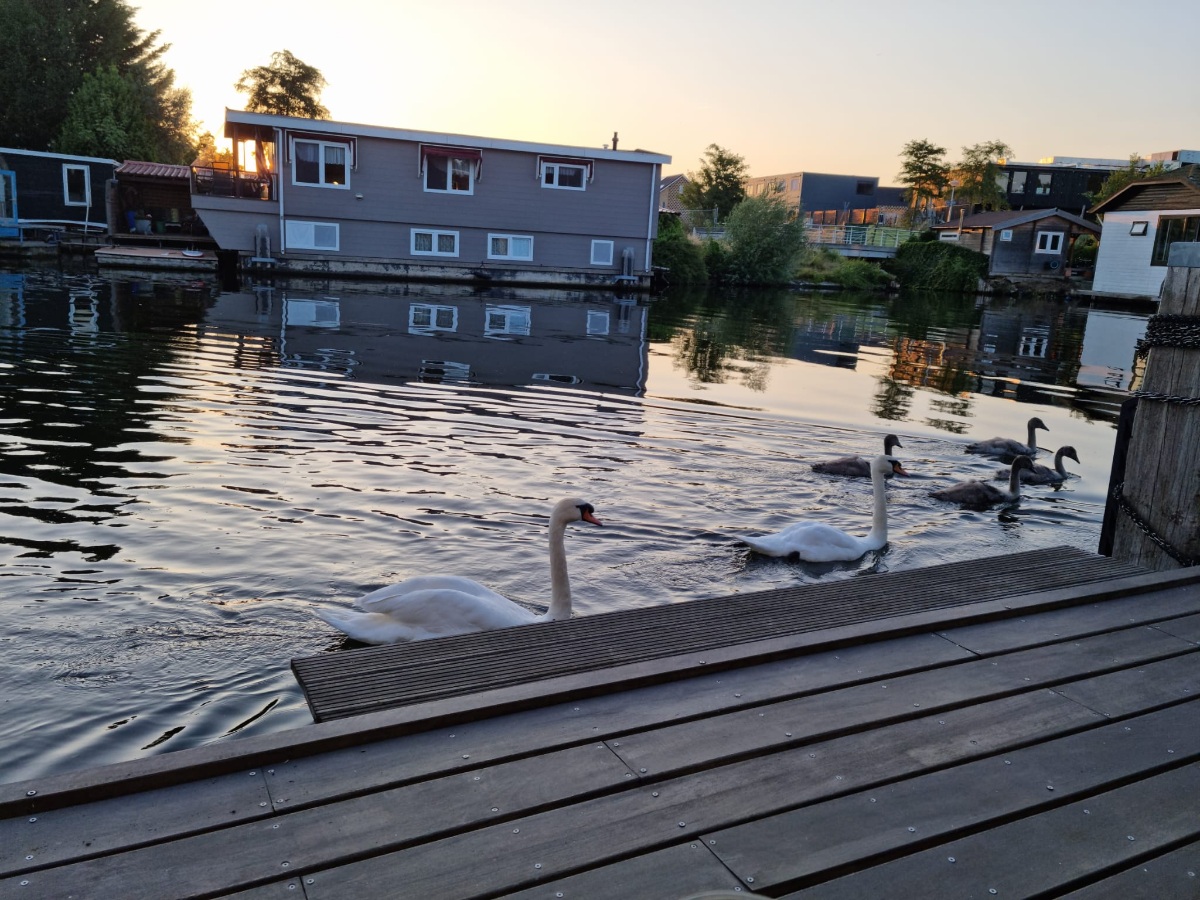 Buiksloterdijk 433 1034 ZA, Amsterdam, Noord-Holland Netherlands, 2 Bedrooms Bedrooms, 4 Rooms Rooms,0,Houseboat,For Rent,Buiksloterdijk,0,1052
