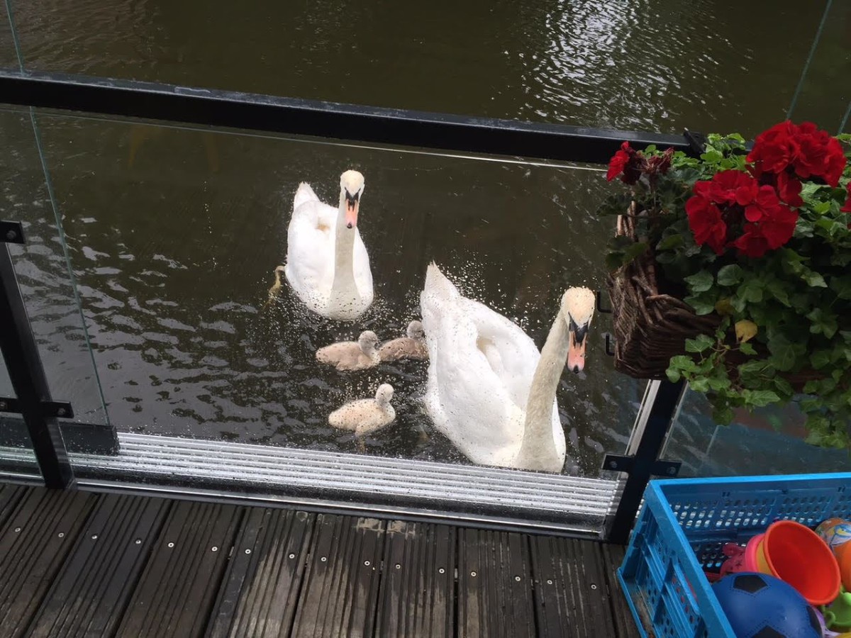 Hugo de Grootkade 84 1052 LX, Amsterdam, Noord-Holland Netherlands, 3 Bedrooms Bedrooms, 4 Rooms Rooms,Houseboat,For Rent,Hugo de Grootkade,1061