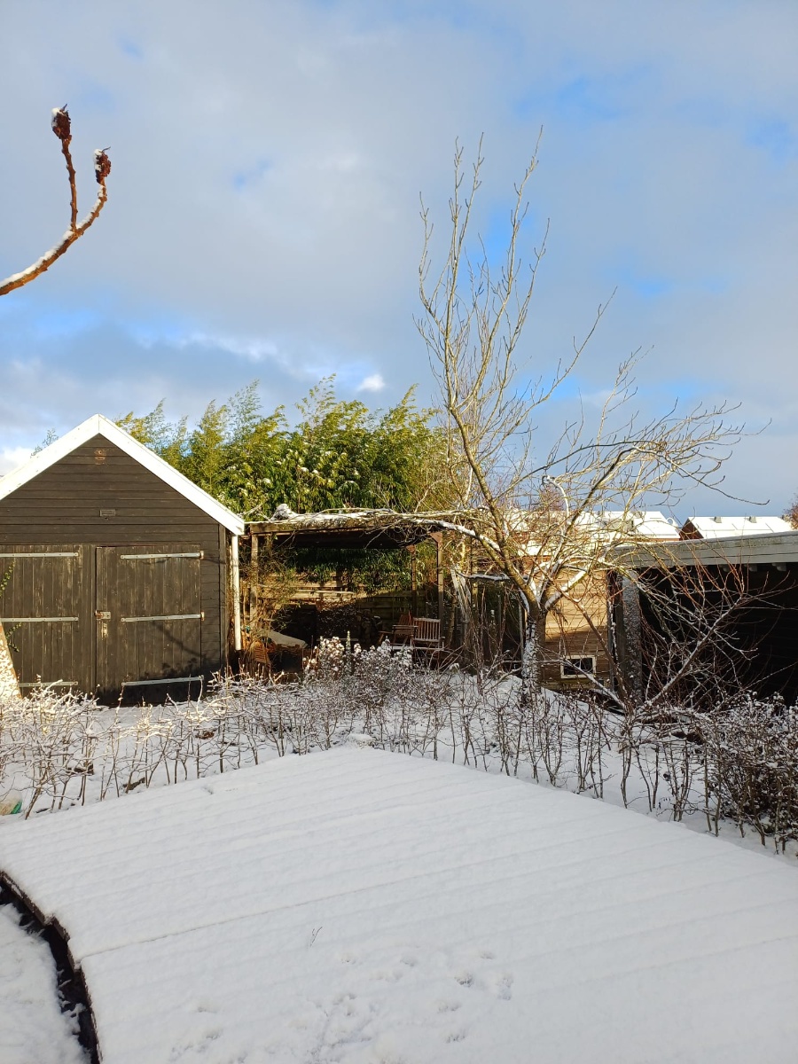 Hasselterhaven 89 8043PN, Zwolle, Overijssel Netherlands, 1 Bedroom Bedrooms, 2 Rooms Rooms,0,Houseboat,For Rent,Hasselterhaven,0,1069