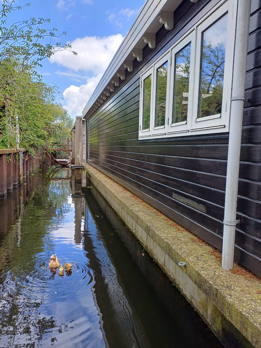Hasselterhaven 89 8043PN, Zwolle, Overijssel Netherlands, 1 Bedroom Bedrooms, 2 Rooms Rooms,0,Houseboat,For Rent,Hasselterhaven,0,1069